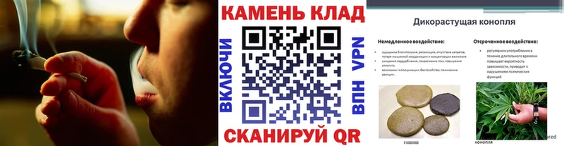 Гашиш Изолятор  Сольцы 