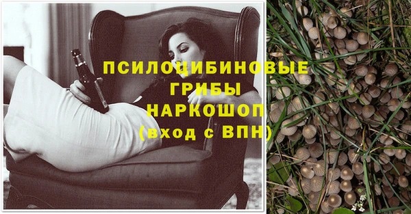 бошки Сатка