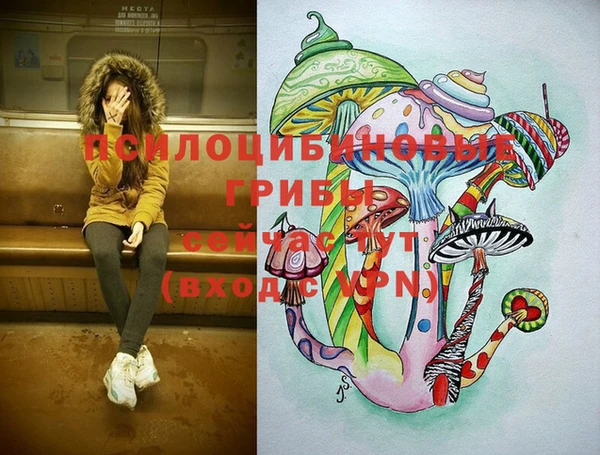 jwh Саяногорск