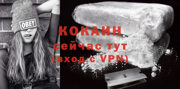 бошки Сатка