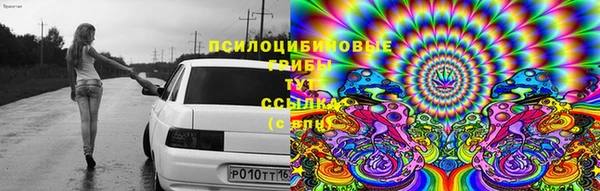 скорость Сафоново