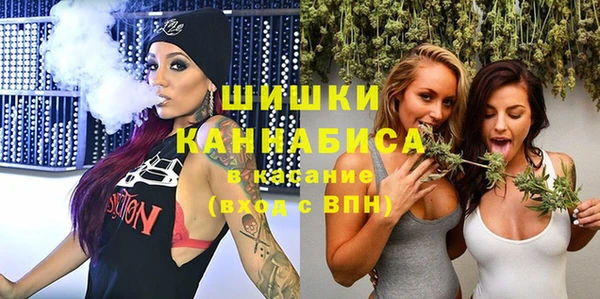 бошки Сатка